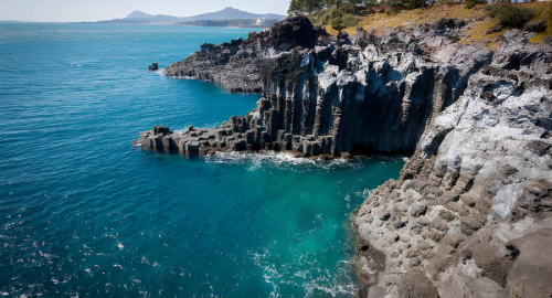 Coralli di Jeju in crisi: torna lo slumping nelle acque sudcoreane